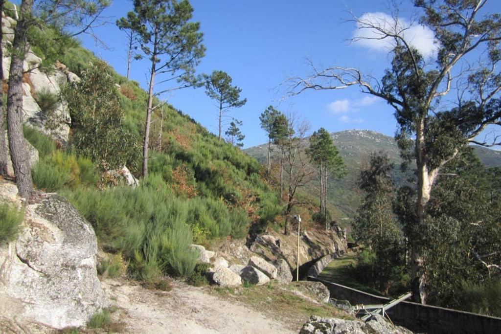 Casa Oeste Sabugueiro  Bagian luar foto